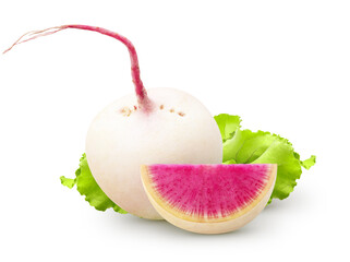 Isolated watermelon radishes. Whole raw watermelon radish and a piece with leaves isolated on white...