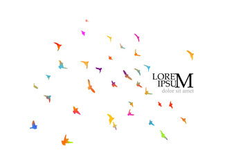 Abstract colored flying birds. Mixed media. Vector illustration