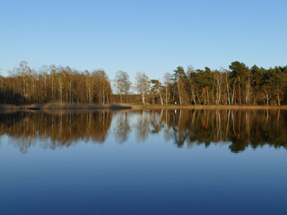 reflection of trees in the water