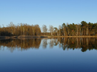 reflection of trees in the water