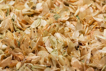Dried humulus lupulus
