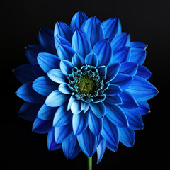 photo of a flower on a black background - AI Generated