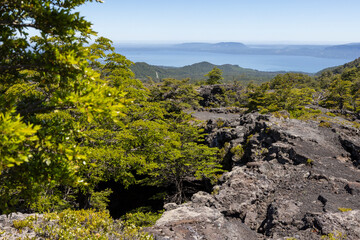 View from the Volcanic Caves Park (at the foot of Villarrica volcan) to the Villarrica lake in...