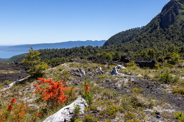 View from the Volcanic Caves Park (at the foot of Villarrica volcan) to the Villarrica lake in...