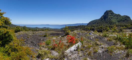Landscape view from the Volcanic Caves Park (at the foot of Villarrica volcan) to the Villarrica...