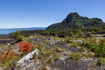 View from the Volcanic Caves Park (at the foot of Villarrica volcan) to the Villarrica lake in...