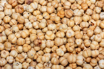 Dried Peganum harmala fruit