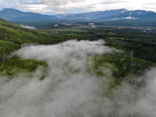 Low clouds in Montana forest near Glacier