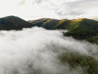 Low clouds in Montana forest valley