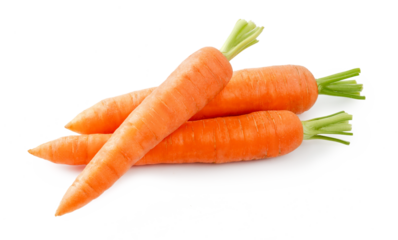 Fresh carrot isolated. Two whole carrots and half of carrot on white background.