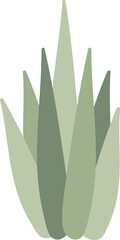 Aloe vera evergreen plant flat icon Houseplant
