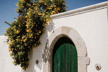 Green wooden door with stone frame and white facade with yellow flowers, in Tavira, Algarve of Portugal.