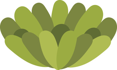 Green succulent flat icon Houseplant decor element