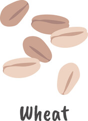 Wheat grain flat icon Cereal grain Agriculture