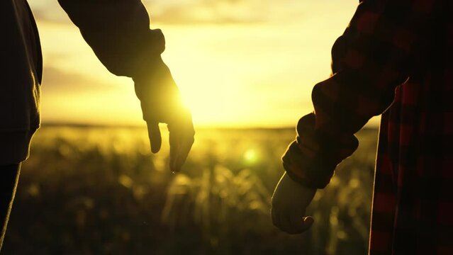 Mother pulls her hand to child, son takes his mother by hand in rays of sunset, close-up. Happy family, mom, son hold hands close up, teamwork. Parent, child, Concept of trust, safety family. Kid sun