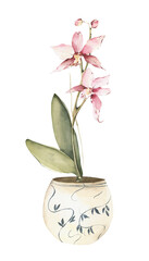 Watercolor Orchid clipart. Floral spring blooming. Floral pot png.