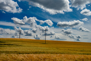 Strommasten im Feld