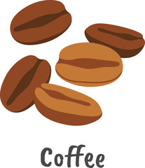 Coffee beans flat icon Tropical grains Plants cultivation