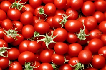 tomatoes on a vine - Generative AI