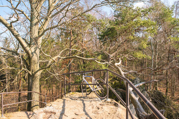bicycle on rock in the forest