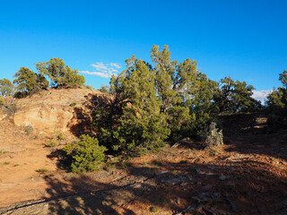 Navajo national monument desert trail