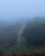 Foggy outdoor scene with hills and trails