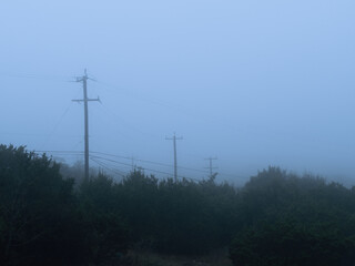 Foggy outdoor scene with power poles, hills and trails