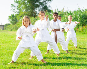 Naklejka na ściany i meble Multiracial group of concentrated preteen children practicing karate movements during outdoors group class in summer park on sunny day