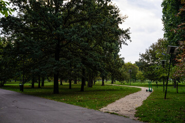 Fototapeta premium Autumn scenery with alley of fall leaves