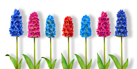 Beautiful flower imitation. Series of 7 Hyacinth for further image montages.