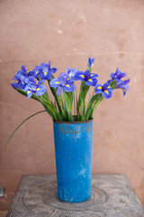 Iris flower set in a rustic blue metal vase. 