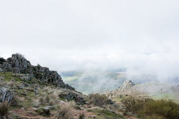 Landscape seen from a hilltop in a foggy day