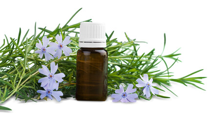 Rosemary essential oil in a glass bottle