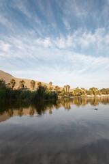 Fototapeta premium landscape of a lake surrounded by palm trees and sand, beauty of nature, tourist destination at day, environment wallpaper in natural condition