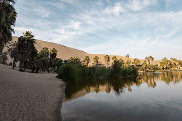 Fototapeta premium beautiful oasis in desert surrounded by palm trees, beauty of nature with lake, tourist destination at day, wallpaper