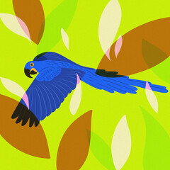 blue macaw flying "arara" green background 