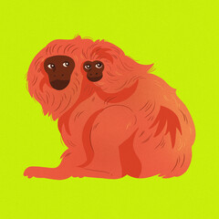 golden lion tamarin 