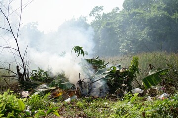 Burning leaf litter causes thick smoke pollution