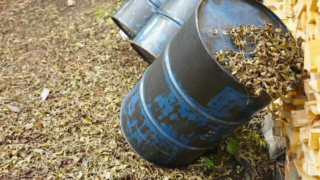 The dried leaves on top of the gasoline container on the side of the firewoods in Estonia