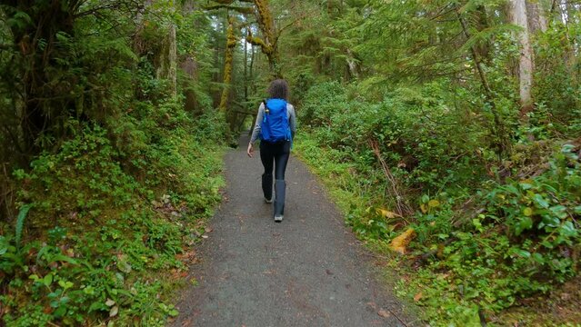 Hiking Trail with Woman Hiking in the Rainforest. San Josef Bay, Cape Scott Provincial Park, Northern Vancouver Island, BC, Canada. Canadian Nature Background. Cinematic 4k
