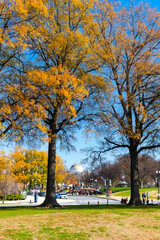 Colorful autumn in central Washington DC. City bustle and walking tourists.