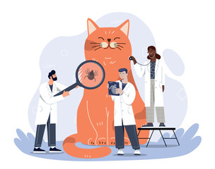 Vet doctors concept. Men with magnifying glass and stethoscope examine orange cat. Animal love and health care. Check for fleas and fractures, team of specialists. Cartoon flat vector illustration
