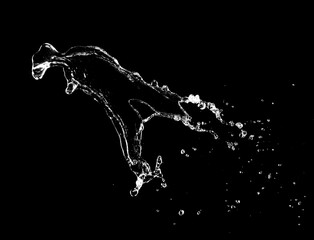 Splash of fresh water on black background