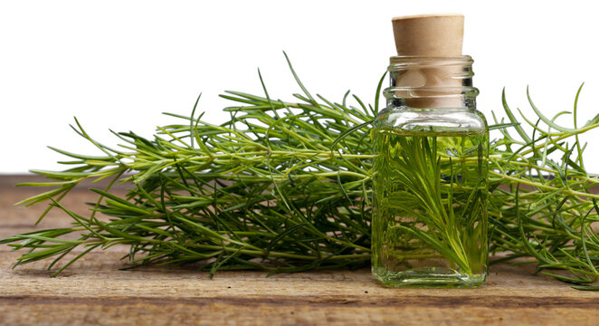 Medical oil in glass bottle and medicine herbs