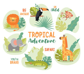 Safari animal collection. Savannah and tropics, wild life. Pelican, elephant, crocodile, lion and monkey. Jungle and African fauna. Cartoon flat vector illustrations isolated on white background