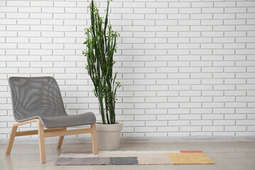 Big green cactus with armchair and rug near white brick wall