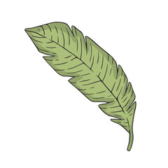 Tropical Leaf Doodle Vector Illustration