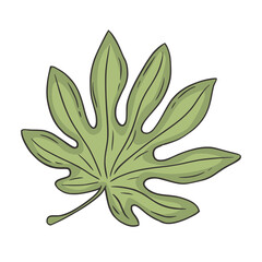 Tropical Leaf Doodle Vector Illustration