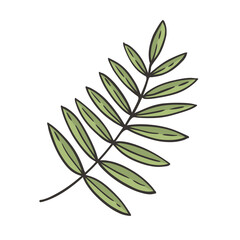 Tropical Leaf Doodle Vector Illustration