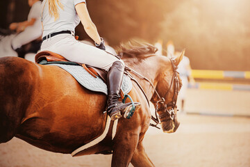 A rear view of a bay fast horse with a rider in the saddle, galloping to the barrier. Equestrian sports. Horse riding. Jumping competition.